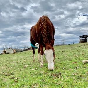 Meet your Posher, Abby